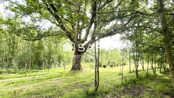 Terrain de loisir de +5700 m² en bord du Lay