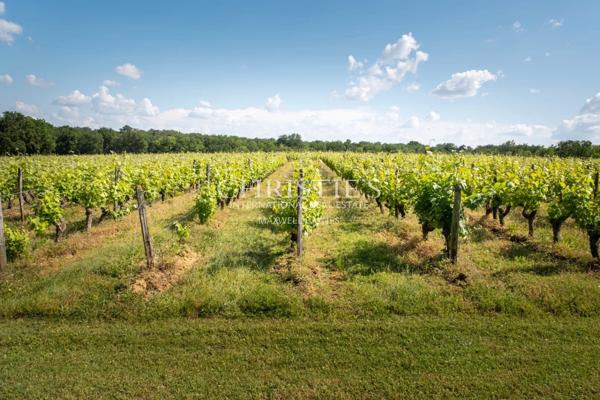 Exceptionnel manoir des XVIe et XVIIe siècles avec jardins à la française et vignoble AOC Saumur