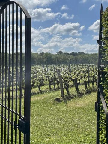 Exceptionnel manoir des XVIe et XVIIe siècles avec jardins à la française et vignoble AOC Saumur