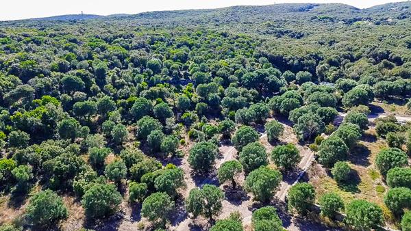 Achat maison près de BONIFACIO - 14 pièce(s) - 360 m² - 2 000 000 €