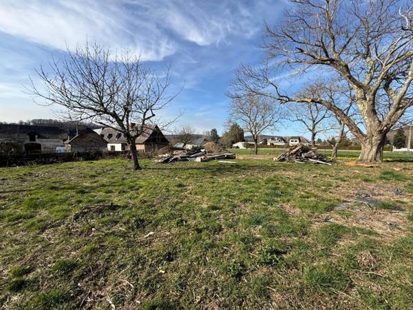 Terrain constructible de 3 152 m², idéal projet Professionnel