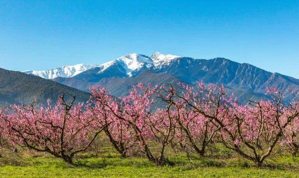 Vente Maison à Perpignan
