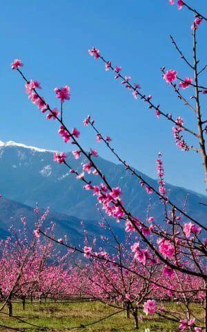 Vente Maison à Perpignan