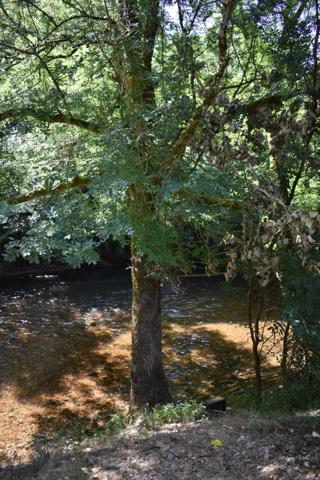 PROPRIETE DE CHARME ACCES DIRECT RIVIERE PROCHE DE PERIGUEUX