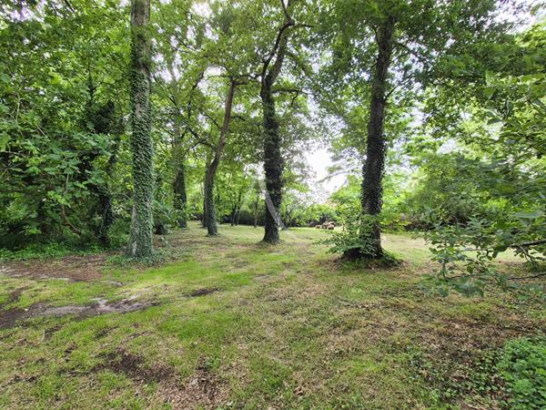 Maison de charme au coeur de la nature landaise - Une parenthèse de tranquillité