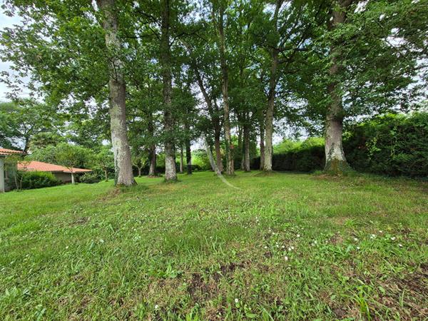 Maison de charme au coeur de la nature landaise - Une parenthèse de tranquillité