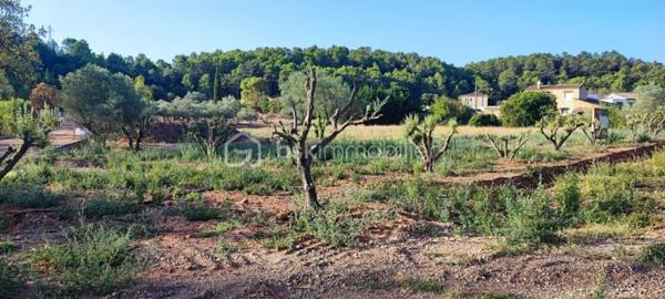 Terrain de 2 000 m²