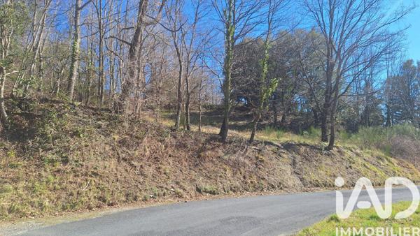 Terrain à vendre 24 000 m² Corsavy