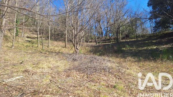 Terrain à vendre 24 000 m² Corsavy