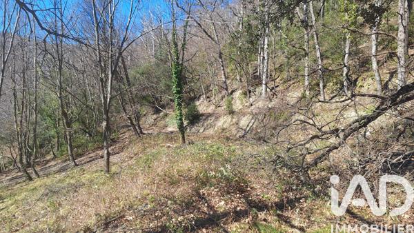 Terrain à vendre 24 000 m² Corsavy