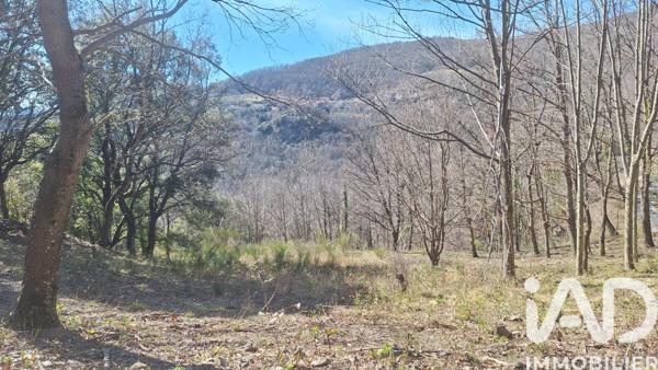 Terrain à vendre 24 000 m² Corsavy