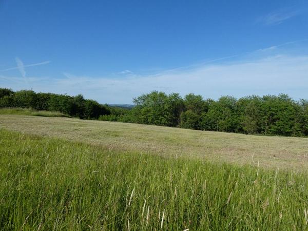 Terrain proche Sarlat 3800 m²