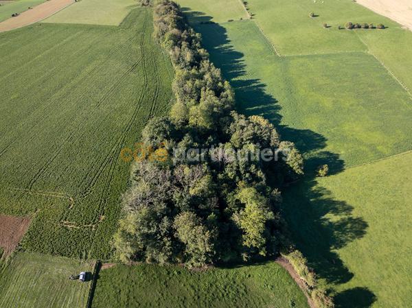 Vente
                Terrain3020 m² - GUINECOURT (62130)
