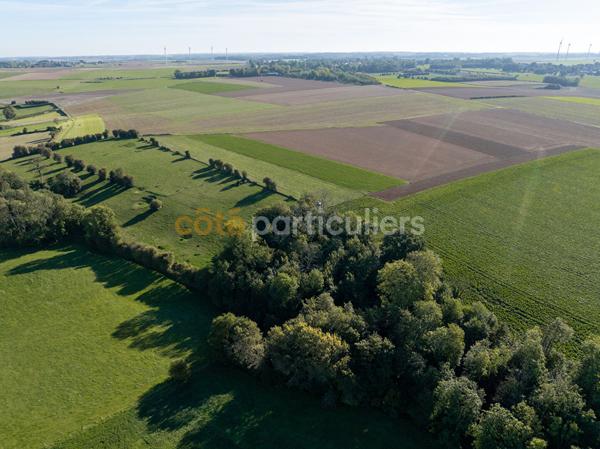 Vente
                Terrain3020 m² - GUINECOURT (62130)