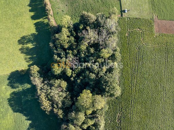 Vente
                Terrain3020 m² - GUINECOURT (62130)