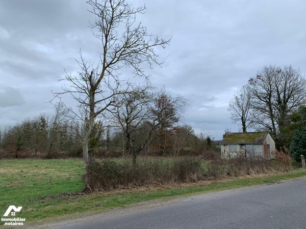 ACHAT : TERRAIN - Martizay - Indre (36)