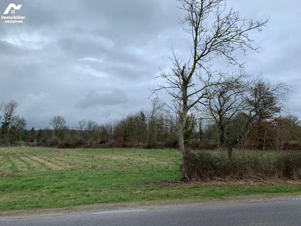 ACHAT : TERRAIN - Martizay - Indre (36)