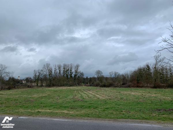 ACHAT : TERRAIN - Martizay - Indre (36)