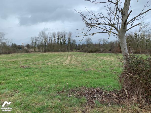 ACHAT : TERRAIN - Martizay - Indre (36)