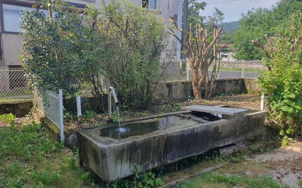 Maison à vendre    10 pièces • 217 m2 Plainfaing