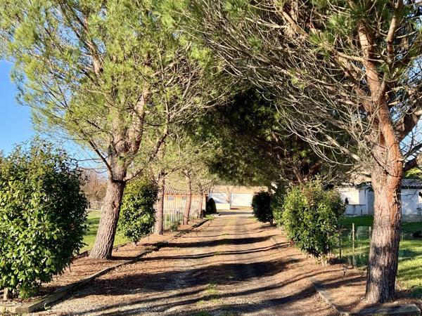 Villa récente 4 chambres et un studio