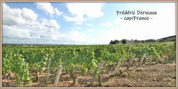 Dpt Côte d'Or (21), à vendre MOREY SAINT DENIS maison P8 de 210 m² au sol