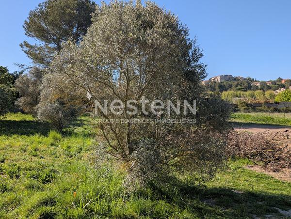 Terrain Cabries , 1004m² , Emprise au sol exceptionnelle , Fort potentiel de construction , Rare à la vente , Terrain d'exception , Cadre verdoyant ,  Vue dégagée , Secteur recherché , Cabriès , Terrain viabilisé