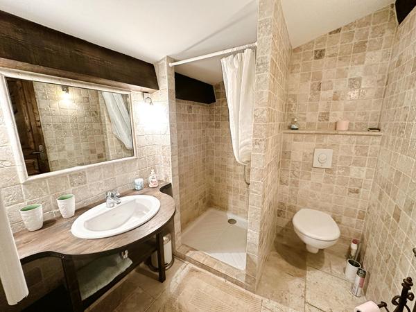 Maison de caractère avec gîte indépendant, piscine, garage et 5 000 m² à vendre à Moulès