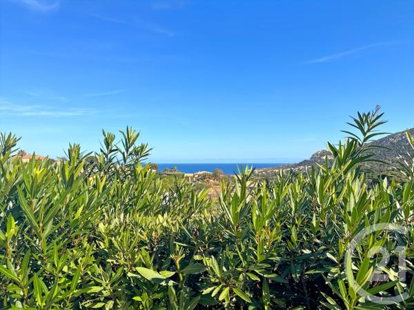 Appartement à vendre  3 pièces - 73,34 m2 LUMIO - 202