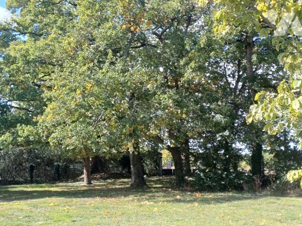 Maison avec bois à Châteaudun