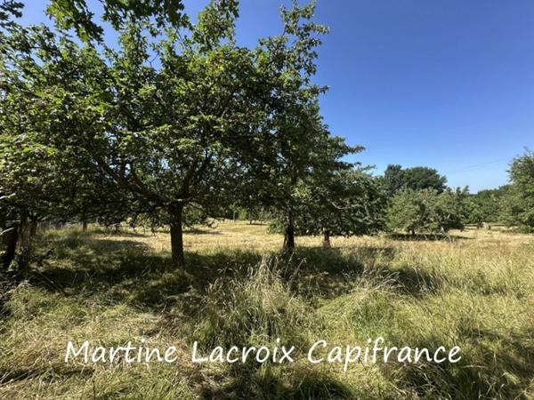 Dpt SARTHE (72), à vendre proche de LA FERTE BERNARD - PROPRIÉTÉ P5 de 135 m² - PRAIRIES de 11 HECTARES