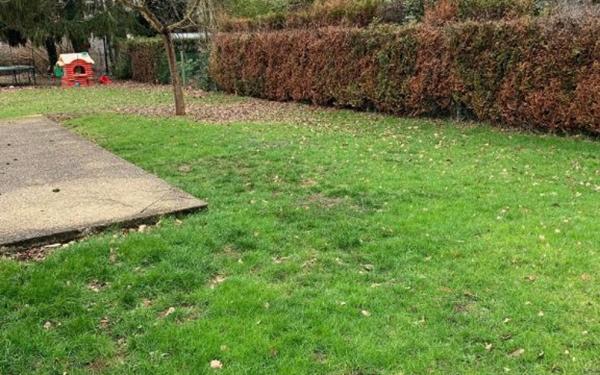 Maison à louer    5 pièces •  Saint-Denis-en-Val