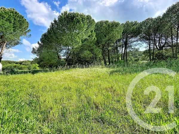 Terrain à vendre  6740 m 2   CAVAILLON  - 84