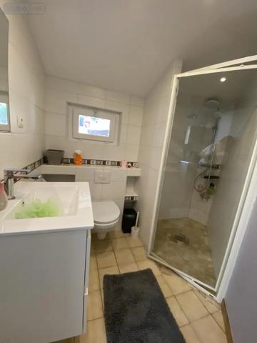 Achat - Maison Montargis 45200 9 pièces 168 m 2 1509 m 2
