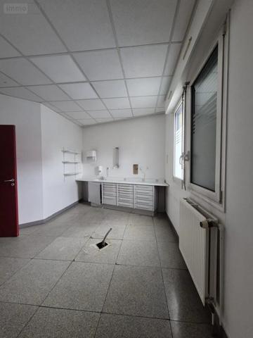 Achat - Fonds et/ou murs commerciaux Audincourt 25400 239 m 2