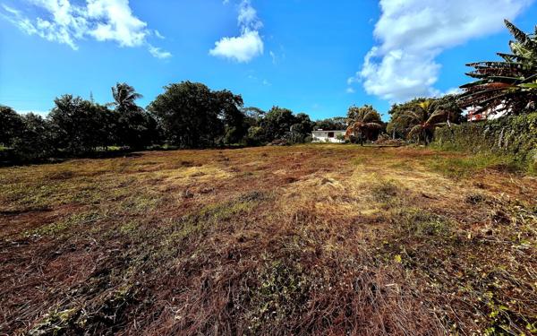 Terrain à vendre    Saint-François