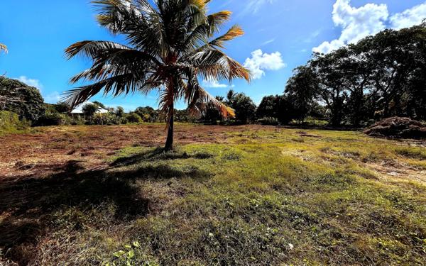 Terrain à vendre    Saint-François