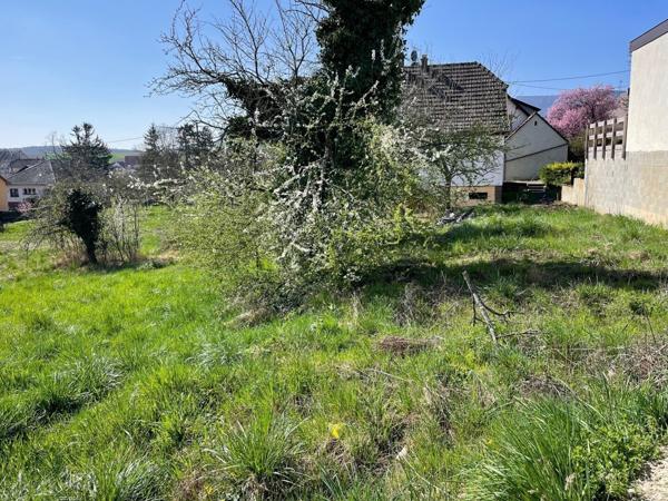 Terrain constructible à BOERSCH parcelle 603