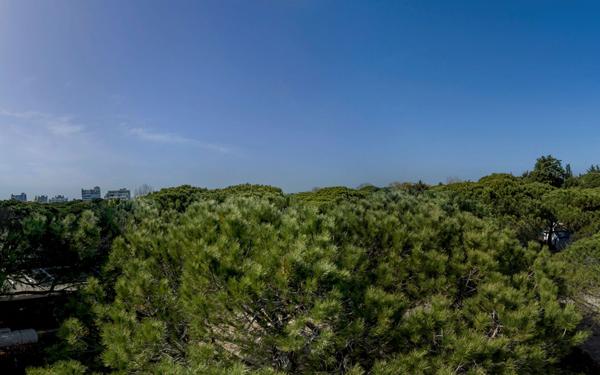 Appartement à vendre    3 pièces • 66 m2 La Grande-Motte