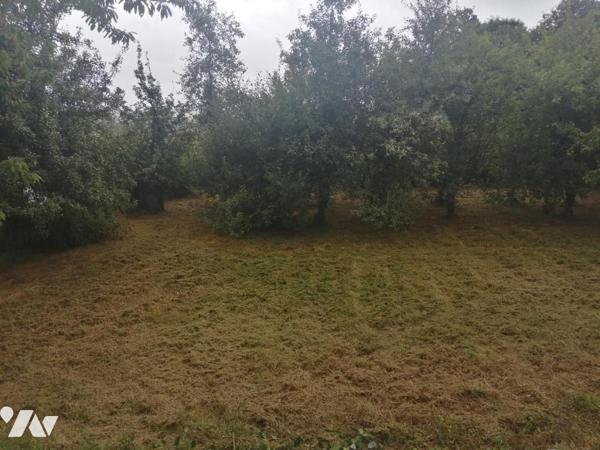 SAINT-CONNEC (22) Maison 3 pièces avec jardin