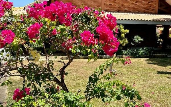 Maison à vendre    6 pièces •  Remire-Montjoly