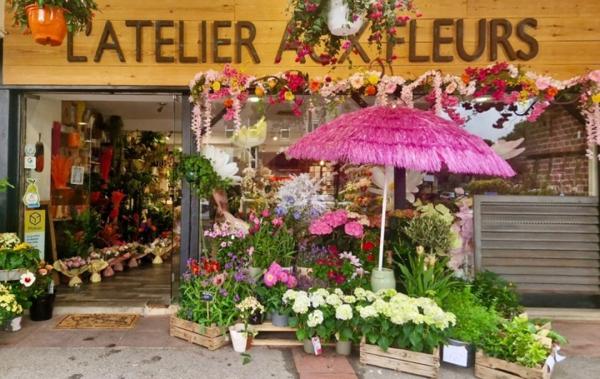 Vente Activité commerciale fond de commerce/fleuriste /très bo Plan-de-cuques   