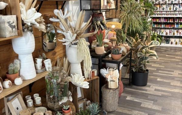 Vente Activité commerciale fond de commerce/fleuriste /très bo Plan-de-cuques   