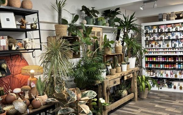 Vente Activité commerciale fond de commerce/fleuriste /très bo Plan-de-cuques   