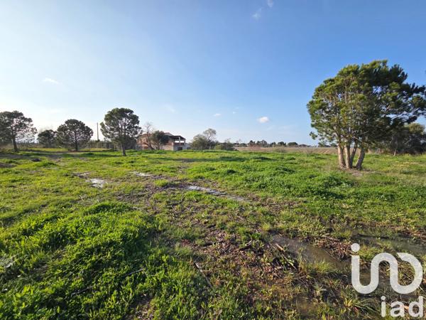 Terrain à vendre 2 230 m² Perpignan