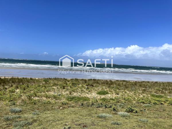 Appartement T2 refait à neuf