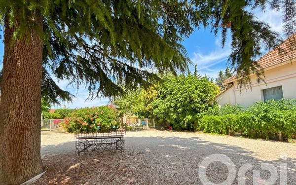 Maison à vendre    8 pièces •  Bollène