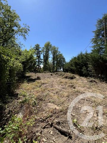Terrain à vendre  980 m 2   DOURDAN  - 91