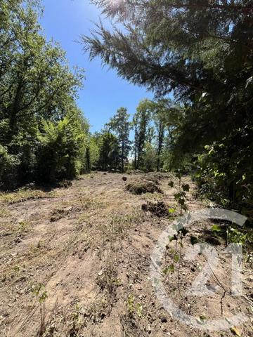 Terrain à vendre  980 m 2   DOURDAN  - 91