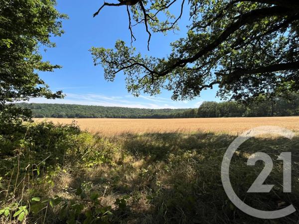 Terrain à vendre  980 m 2   DOURDAN  - 91